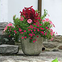 Seasonal Planter in Red Shades